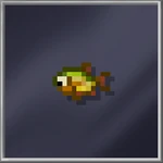 Carp (Tiny)
