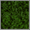 Vegetation Background