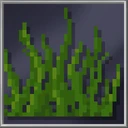 Seagrass