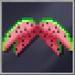 Watermelon Wings