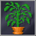 Potted Plant