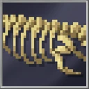 Sarcosuchus Fossil - part3