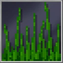Extra Tall Grass