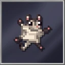 Sugar Glider