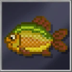 Carp (Huge)
