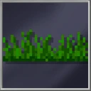 Grass