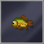 Carp (Small)