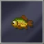 Carp (Small)