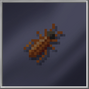 Cockroach