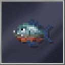 Piranha (Medium)