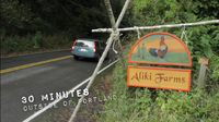 Aliki Farms.png