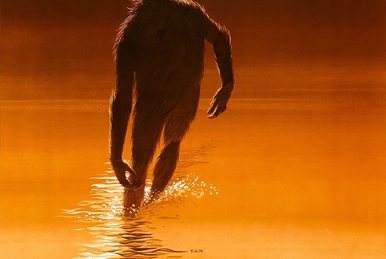 シュタイフ　Boggy Creek Bob The Legend of Boggy Creek: A True Story from the 1970s
