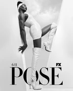 POSE S2-Poster1.jpg (98 KB)
