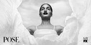 POSE S2-Poster7.jpg (72 KB)