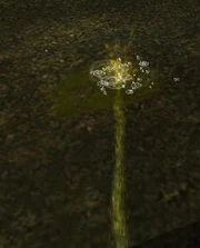 Чувак писает