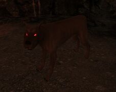 Demon dogs pl