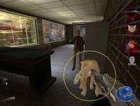 A cat equipped as a silencer of the .