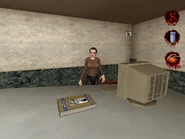 Woman selling What I'm Talkin' Bout Copies in Fee of America Bank on Wednesday.