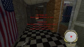 The game in action (