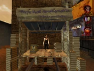 Woman selling What I'm Talkin' Bout copies in the Trainyard Area in Paradise Lost.