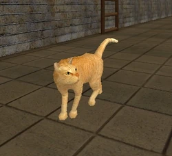 A ginger cat in POSTAL 2.