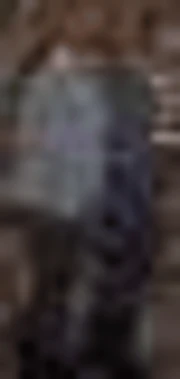 SWAT as they appear in POSTAL 1