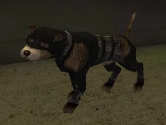 The dogs in gimp suits.