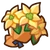 Yellow Poinsettias