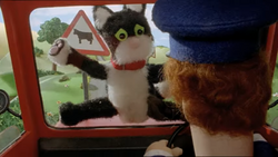 Specsavers cat best sale flap advert