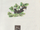 Postman Pat's Cat-Up-A-Tree Party