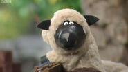 Bessie