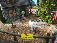 Dorothy with Rosie