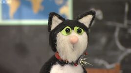 PostmanPatandtheTalkingCat