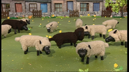 PPatSSSheep