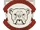 BULLDOGS