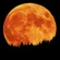 Super-Harvest-Moon-1-
