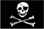 Buy skullpatch flag