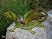 My dream Pet a mutation of a Parrot and A Lizard and indirectly a Scorpion