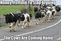 CowsArgue