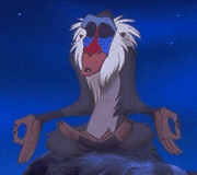 MORE RAFIKI