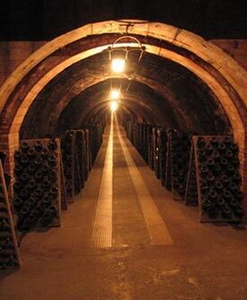 Goldtimber's Wine Cellar