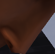 The Great Captain Shadow11's nose! Admin of the Wiki!!!