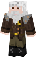 Ned's 'Adventurer' Skin