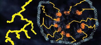Dr50.jpg