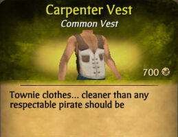 Carpenter Vest (Required)