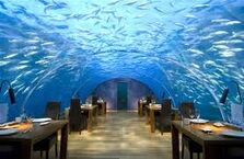 The Underwater Cafe