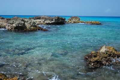 Rocky beach