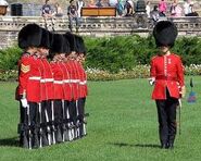 A Guard line inspection