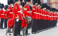 The Red Guard lined up