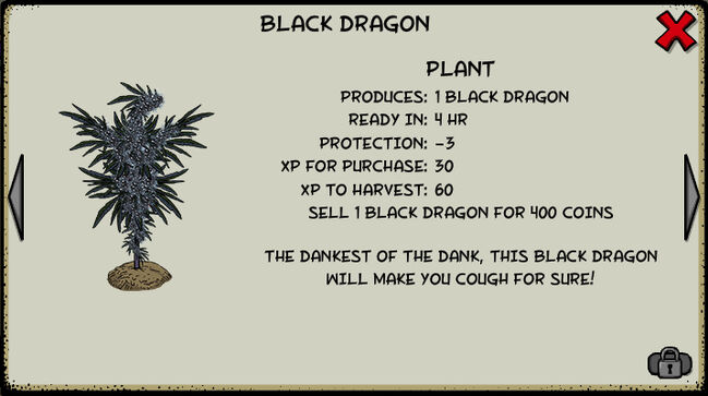Black dragon plant